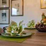Lichtentaler Allee 아파트